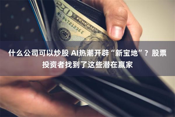 什么公司可以炒股 AI热潮开辟“新宝地”？股票投资者找到了这些潜在赢家