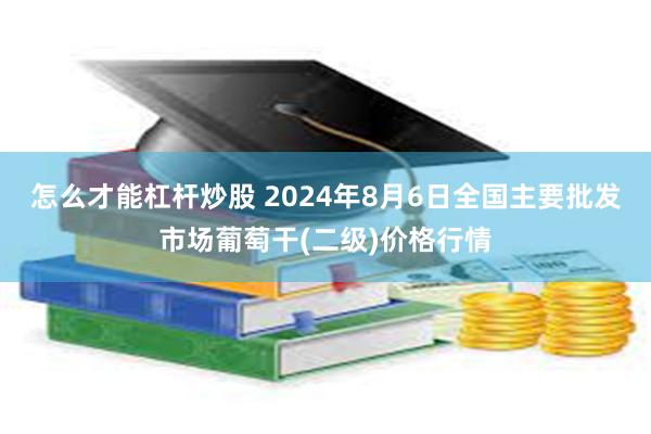 怎么才能杠杆炒股 2024年8月6日全国主要批发市场葡萄干(二级)价格行情