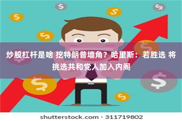 炒股杠杆是啥 挖特朗普墙角？哈里斯：若胜选 将挑选共和党人加入内阁