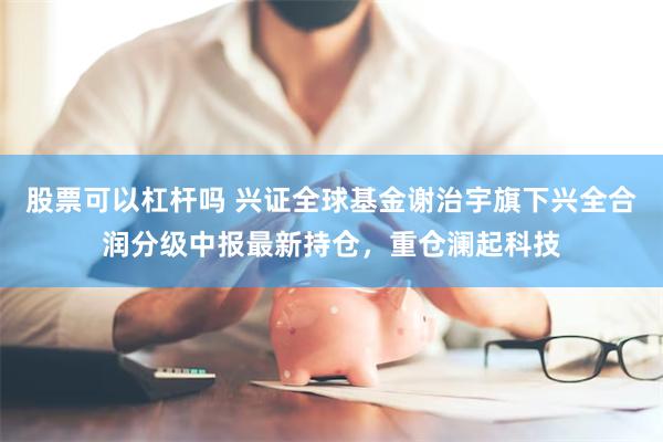 股票可以杠杆吗 兴证全球基金谢治宇旗下兴全合润分级中报最新持仓，重仓澜起科技