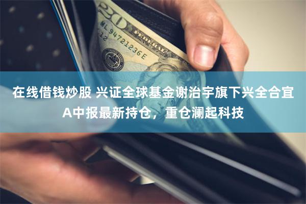 在线借钱炒股 兴证全球基金谢治宇旗下兴全合宜A中报最新持仓，重仓澜起科技