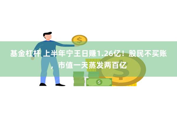 基金杠杆 上半年宁王日赚1.26亿！股民不买账，市值一天蒸发两百亿