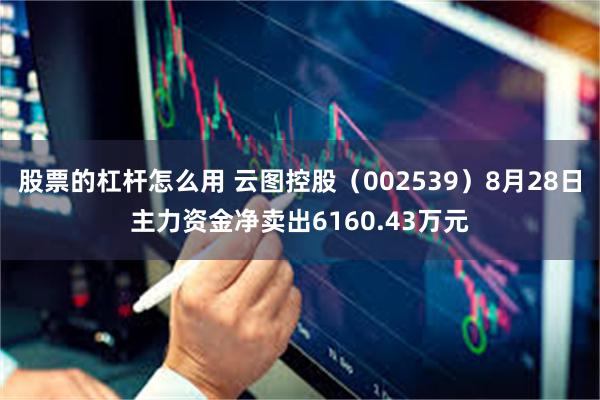 股票的杠杆怎么用 云图控股（002539）8月28日主力资金净卖出6160.43万元