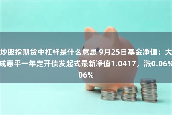 炒股指期货中杠杆是什么意思 9月25日基金净值：大成惠平一年定开债发起式最新净值1.0417，涨0.06%