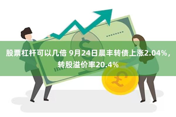 股票杠杆可以几倍 9月24日晨丰转债上涨2.04%，转股溢价率20.4%