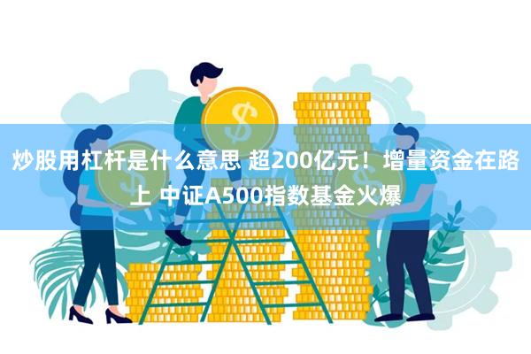 炒股用杠杆是什么意思 超200亿元！增量资金在路上 中证A500指数基金火爆