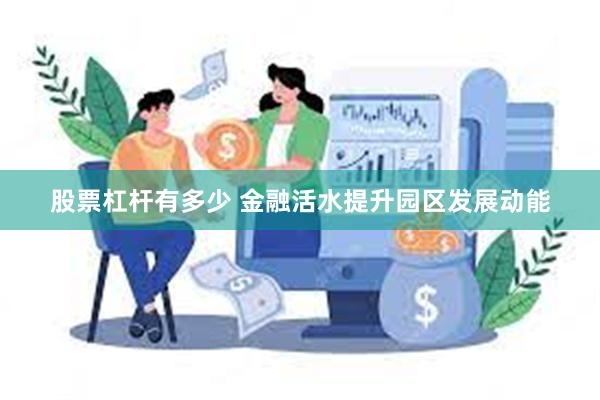 股票杠杆有多少 金融活水提升园区发展动能