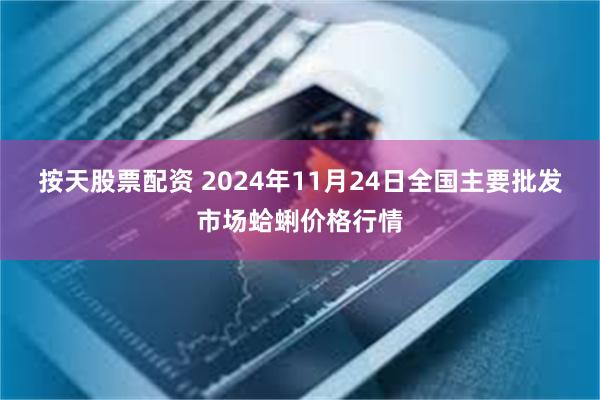 按天股票配资 2024年11月24日全国主要批发市场蛤蜊价格行情