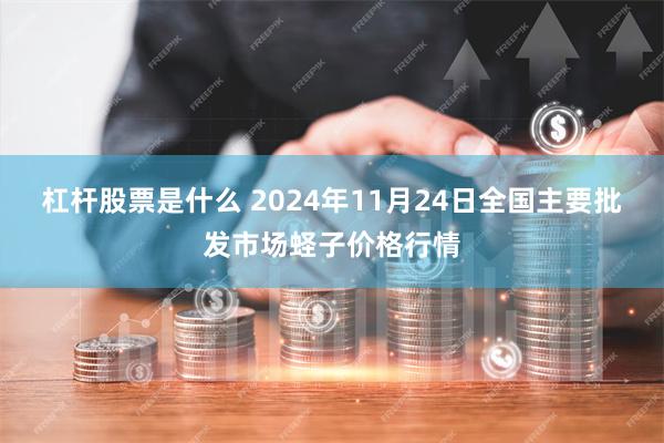 杠杆股票是什么 2024年11月24日全国主要批发市场蛏子价格行情